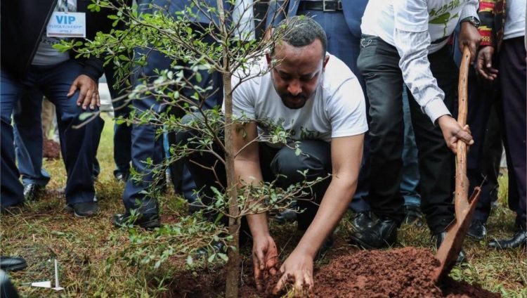 giao hoi etiopia trong cay 750x424 - Chính quyền và Giáo hội Etiopia phát động phong trào trồng 353 triệu cây xanh
