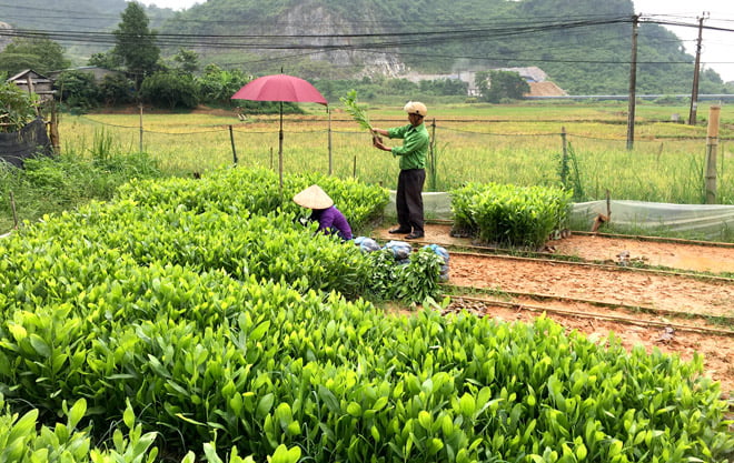 24092019 113011 - Caritas Việt Nam: Gieo niềm hy vọng